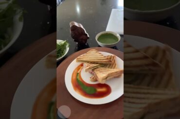 Green cheese chutney grill sandwich #shorts #short #cooking #sandwich #chutney #australia #food