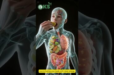 Best Smoothie Recipes For Healthy| OKS KITCHEN