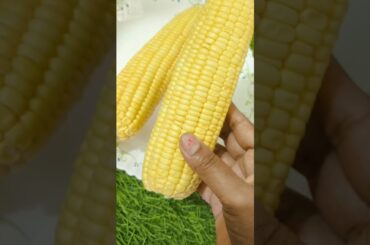 tasty aur healthy protein se bharpur bute ka chilla recipe #kulfirecipe #bhuttakachilla#chilla