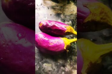 healthy lunch recipe#food#trending#youtubeshorts#shorts#trendingshorts#ytviral#viral#song#90s#fy#fyp