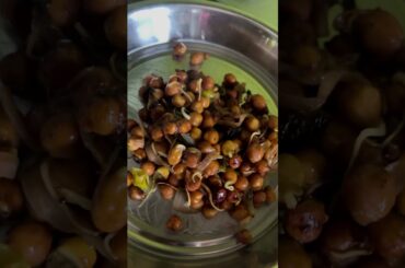 Protein-Packed Morning breakfast Recipe | Easy & Tasty! #ytshorts #breakfast #food #healthy #ai