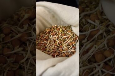energy boosting sprouts #recipe  #ayurved  #facts  #health  #food