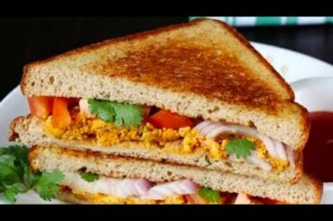 Mix Veg Healthy And Tasty Homemade Sandwich|