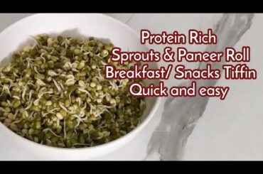 Healthy tiffin ideas for kids/ Lunchbox recipes - Breakfast/ Snacks / Tiffin Recipe