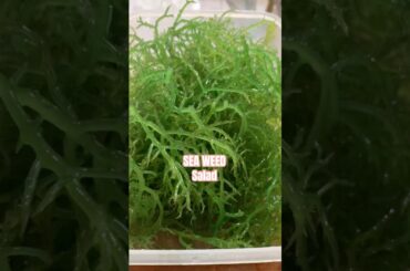 SEAWEEDS || SALAD || #philippines #life #food #favourite #healthy #pinoyfood