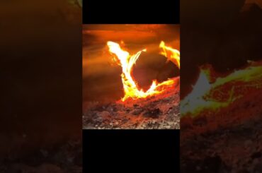 Tips for serving with desi dishes like achar, lassi, or sabzi