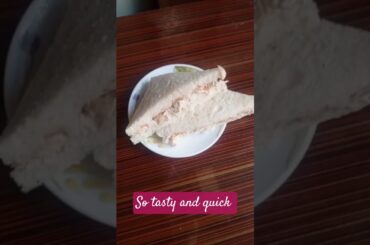 tiffin sandwich so easy and quick #food #sandwich #healthy @BristiHomeKitchen  #breadsandwich