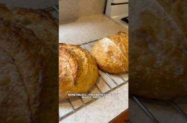 my 2 sourdough cents! #sourdough #sourdoughbread #shorts #short #shortvideo
