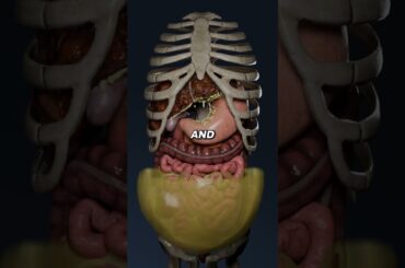 Five foods that will give you a flatter stomach