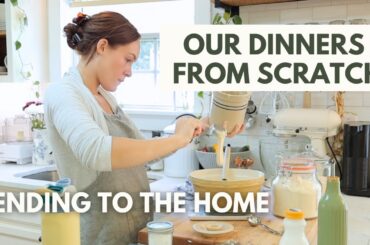Comforting Dinners and Resetting the Kitchen After a Busy Week | DINNERS FROM SCRATCH