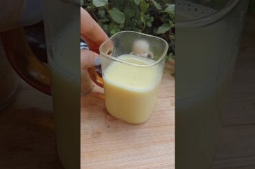 Haldi Doodh Mishri Recipe| Immunity and Energy Booster Turmeric Milk For Digestion| #shorts#healthy