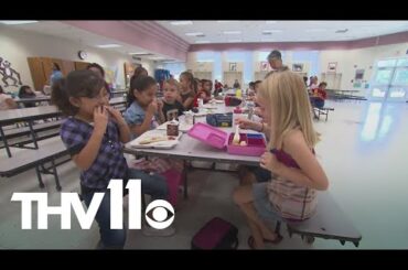 Quick and easy lunch ideas for back-to-school