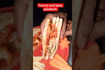 BBQ chicken Grilled Sandwiches yummy and tastyChicken Respi Bay Baba e Food