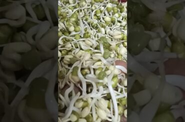 Veg High Protein #shorts #youtubeshorts #food #healthtips #healthy #homeremedies #tips #recipe