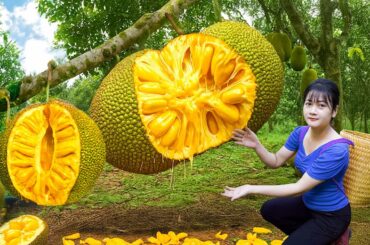 Ly Trieu Ca: Harvesting Giant Honey Jackfruit & Cooking Healthy Porridge To Eat | Village Recipe