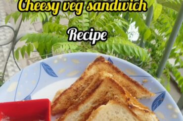 Homemade cheesy veg sandwich recipe