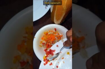 Easy Chicken Vegetable Sandwich Recipe | Quick & Healthy Snack for All Ages