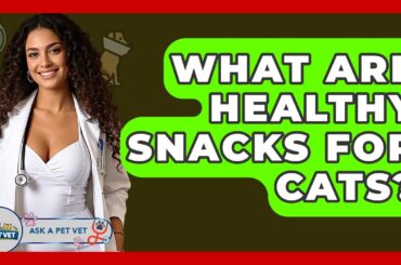 What Are Healthy Snacks For Cats? - Ask A Pet Vet