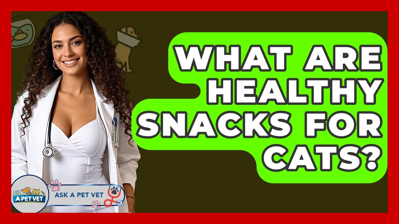 What Are Healthy Snacks For Cats? – Ask A Pet Vet What Are Healthy Snacks For Cats? - Ask A Pet Vet