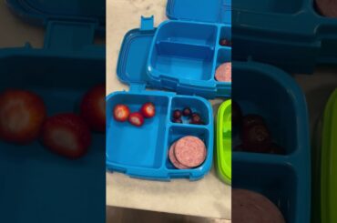 Quick & Healthy lunch ideas for my kids! #quicklunch #healthy #easylunch #lunch #lunchideas #easy