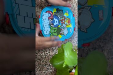 #lunch #kidscooking #food #cooking #healthy #homemade #homecook #lunchbox #lunchtime #school #you