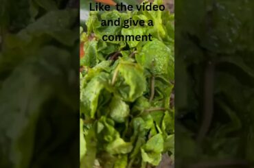 Viral salad recipe #salad # #healthysalad#shorts