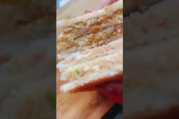 Sandwich recipe #youtubeshorts #viralvideos #ytshorts #food #viral #easyrecipe #foodie #saanandverma