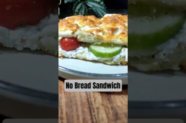 Healthy No Bread Sandwich | Sweet Potato Sandwich Recipe | Diet Snack Idea