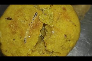 10 Lunch Box Idea, healthy recipe ( Quick & Easy) @Poojachouhankitchen