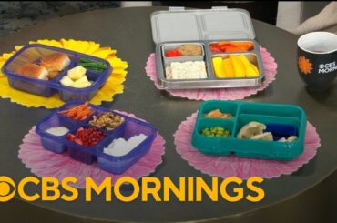 "Feeding Littles Lunches" offers parents simple recipes for kids' meals