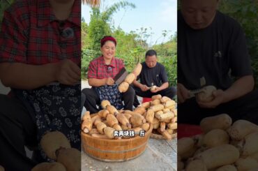 How Much Pure Lotus Root Powder Can Be Made from 100kg Lotus Roots? | Healthy Breakfast Superfood