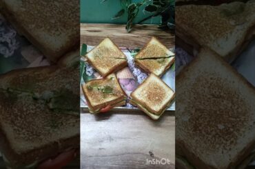 sandwich recipe /Healthy Breakfast#shorts #trending #reels #youtubeshorts #viral #recipe #food