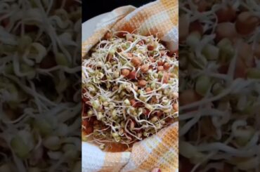 Black Chickpeas & Moong Dal Sprouts Salad #shorts #sproutsalad