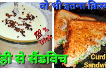 Dahi Sandwich | Dahi Sandwich Recipe | How To Make Dahi Sandwich | Curd Sandwich | Sandwich Recipe