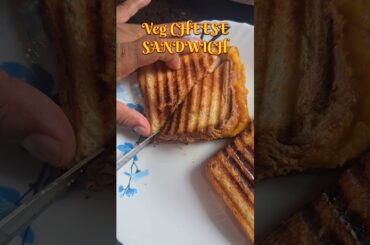 Street Style Veg Sandwich | Healthy & Yummy Snack #food #streetfoodindia #shorts