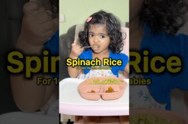 Spinach rice for 1yr plus babies | Taahira recipe | healthy lunch #shorts #food #foodie #cooking