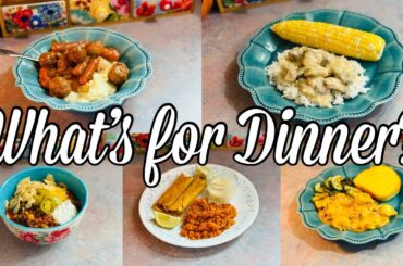 What’s for Dinner | EASY BUDGET FRIENDLY Family Meal Ideas | September 2025