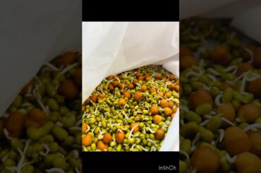 Sprouts Healthy Salad#youtubeshorts  #shortvideo #shortsfeed #shorts#salad