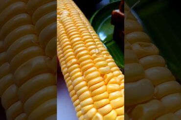 Avacado bread toast| Healthy breakfast recipe