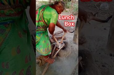 Weight loss recipe lunch box