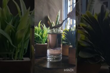 Chia seeds benefits you didn't know about and a delicious recipe