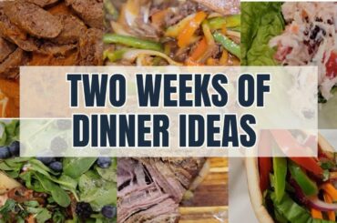 Meal Ideas on a Budget! | Healthy Dinner Ideas | Easy Dinners