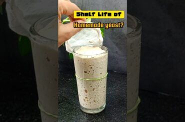 Tips & Tricks Ep 200: How Long Does Homemade Yeast Last? #shortsfeed