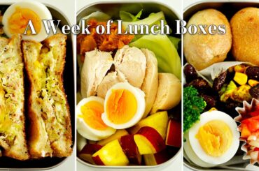 5 High Protein Lunch Box Ideas for Weight Loss ! | Healthy & Easy Recipes