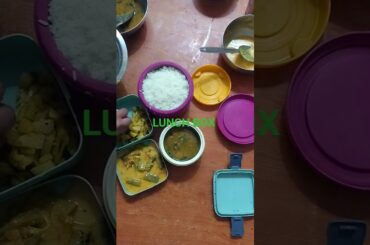 Healthy Lunch Box #food #husband lunch box #shorts #ytshorts #cooking #odisha #homemade