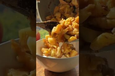 The ultimate fall gut healthy breakfast!