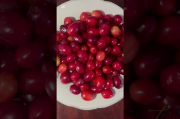 Grapefruit & Cornelian Cherry Salad with Chia Oil #food #healthy #refreshing #salad