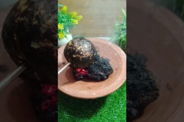 Benefits of Eating Roasted Guava by Dr Robin Sharma #shorts #recipe #food #health