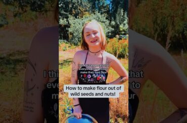 How to make flour out of wild seeds and nuts
