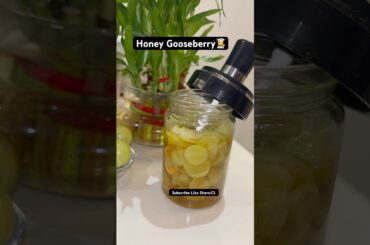 Immunity booster#gooseberry #immunity #healthy #homemade #ytshorts #food #foodshorts #viral #cooking